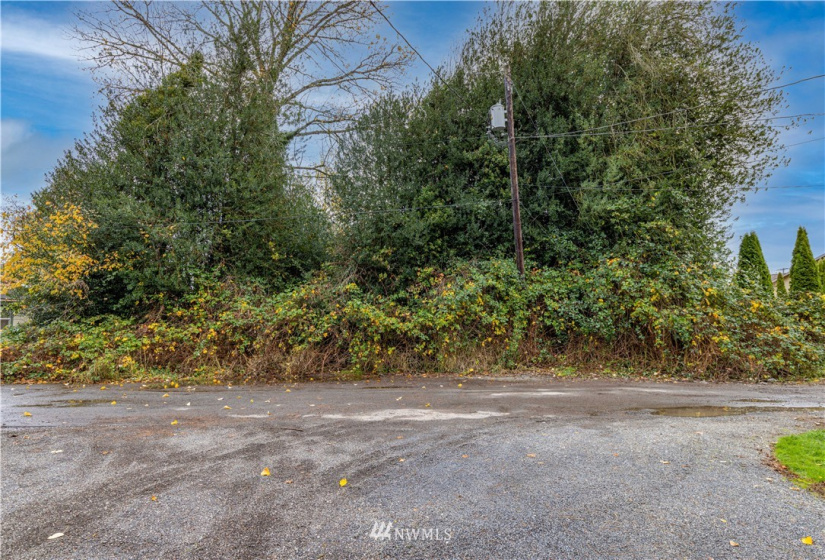0 Roosevelt, Centralia, Washington 98312, ,Land,For Sale,Centralia,Roosevelt,NWM1871869