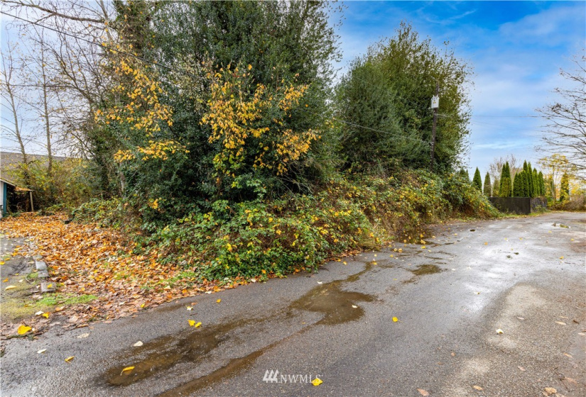 0 Roosevelt, Centralia, Washington 98312, ,Land,For Sale,Centralia,Roosevelt,NWM1871869