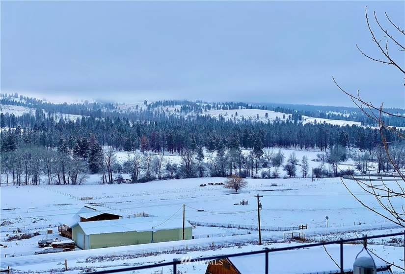 20571 Wenas, Selah, Washington 98942, 3 Bedrooms Bedrooms, ,2 BathroomsBathrooms,Residential,For Sale,Wenas,NWM1873492