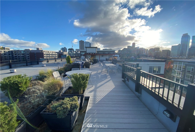 1610 Belmont, Seattle, Washington 98122, 1 Bedroom Bedrooms, ,Residential Lease,For Rent,Belmont,NWM1873522