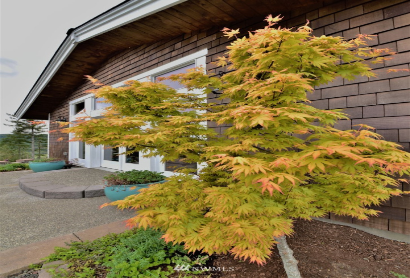 50 Jeanne Saeger, Shelton, Washington 98584, 2 Bedrooms Bedrooms, ,2 BathroomsBathrooms,Residential,For Sale,Jeanne Saeger,NWM1873530