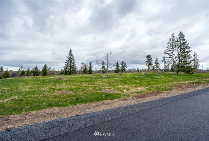 0 Lot H Birchfield Commons, Onalaska, Washington 98570, ,Land,For Sale,Lot H Birchfield Commons,NWM1869613