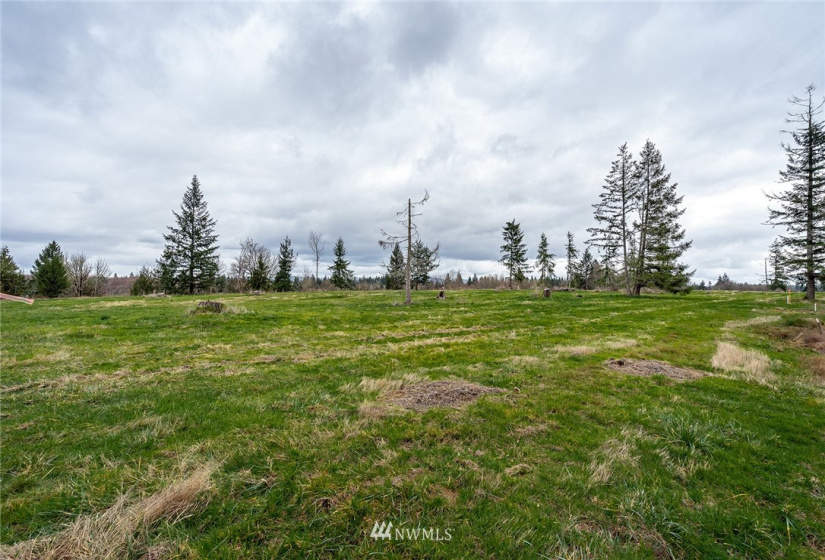 0 Lot H Birchfield Commons, Onalaska, Washington 98570, ,Land,For Sale,Lot H Birchfield Commons,NWM1869613