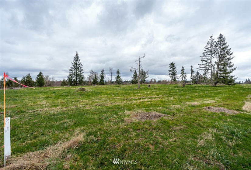 0 Lot H Birchfield Commons, Onalaska, Washington 98570, ,Land,For Sale,Lot H Birchfield Commons,NWM1869613