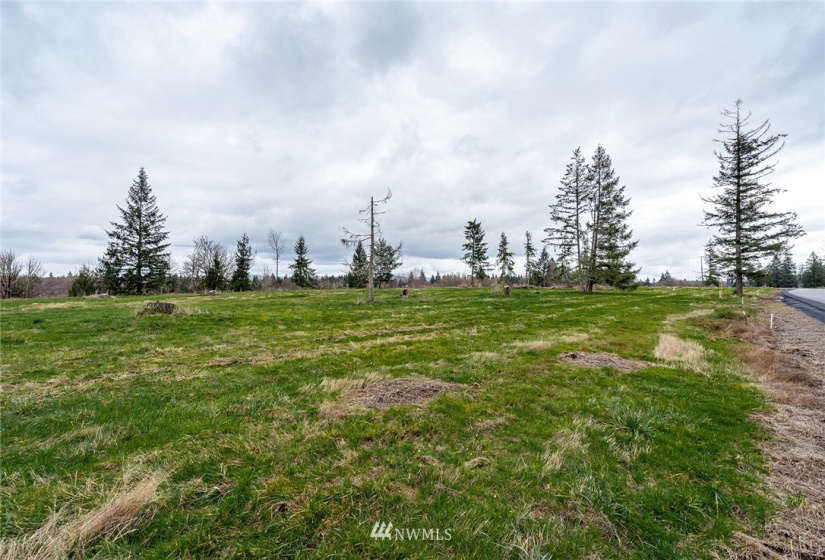 0 Lot H Birchfield Commons, Onalaska, Washington 98570, ,Land,For Sale,Lot H Birchfield Commons,NWM1869613