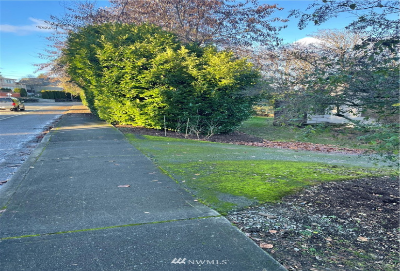 602 Taylor, Renton, Washington 98057, 2 Bedrooms Bedrooms, ,1 BathroomBathrooms,Residential,For Sale,Taylor,NWM1873388