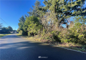 148 Polaris, Ocean Shores, Washington 98569, ,Land,For Sale,DIV 4,Polaris,NWM1873408
