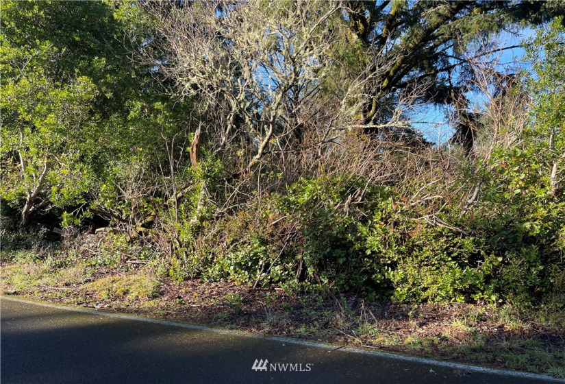 148 Polaris, Ocean Shores, Washington 98569, ,Land,For Sale,DIV 4,Polaris,NWM1873408