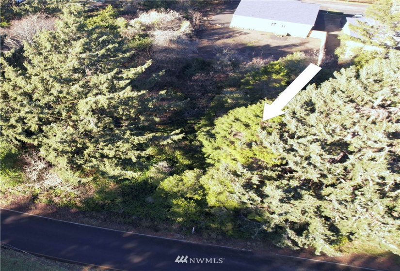 148 Polaris, Ocean Shores, Washington 98569, ,Land,For Sale,DIV 4,Polaris,NWM1873408