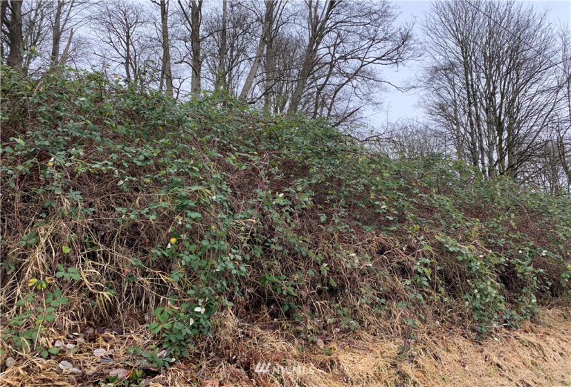 50 xx 4th, Everett, Washington 98201, ,Land,For Sale,4th,NWM1873494