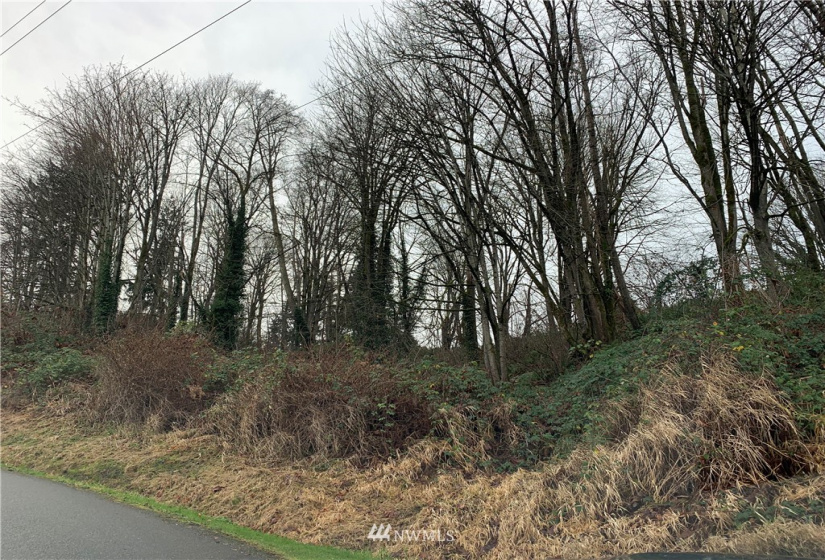 51 xx 4th, Everett, Washington 98201, ,Land,For Sale,4th,NWM1873490