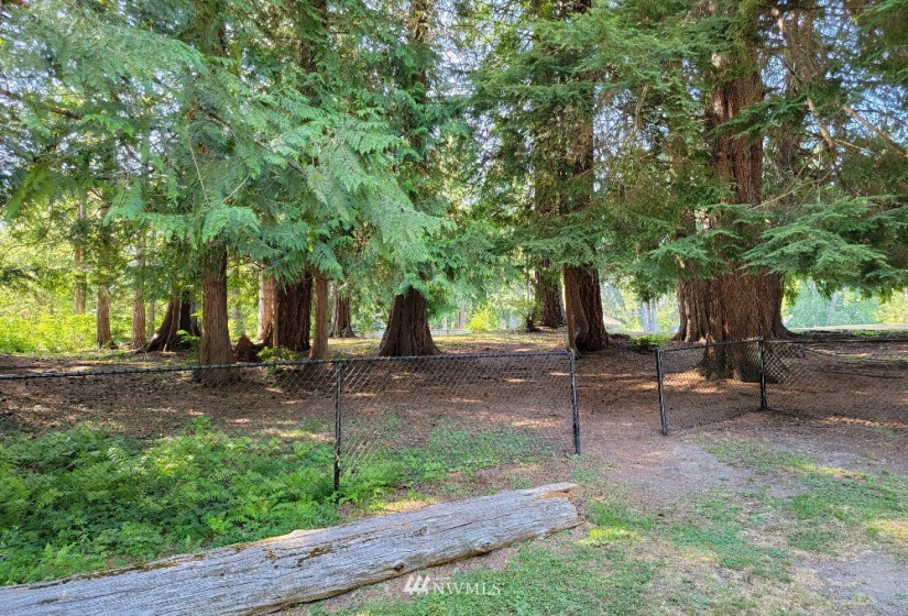 51 Budd, Shelton, Washington 98584, ,Land,For Sale,Budd,NWM1873731