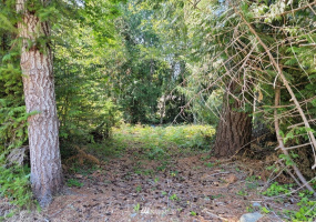 51 Budd, Shelton, Washington 98584, ,Land,For Sale,Budd,NWM1873731