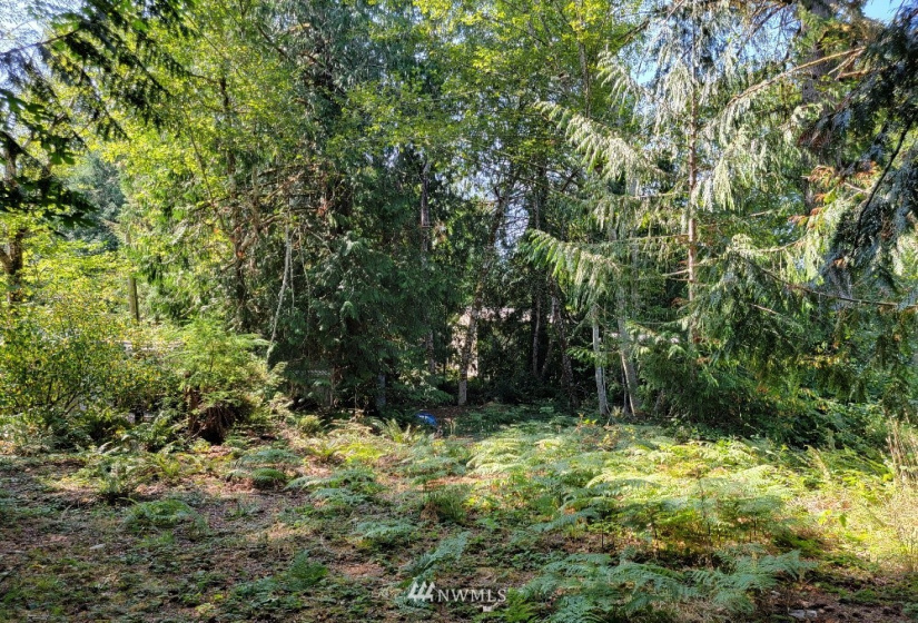 51 Budd, Shelton, Washington 98584, ,Land,For Sale,Budd,NWM1873731