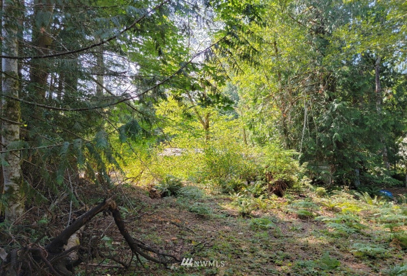 51 Budd, Shelton, Washington 98584, ,Land,For Sale,Budd,NWM1873731