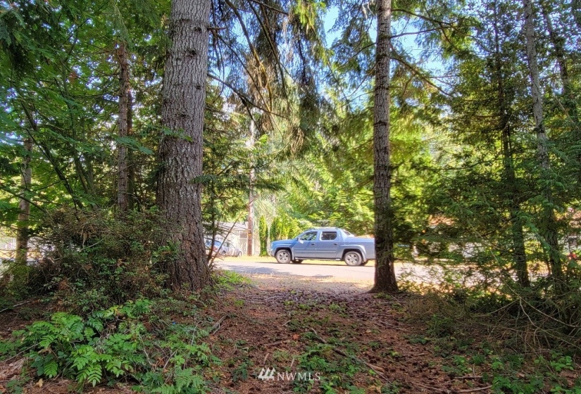 51 Budd, Shelton, Washington 98584, ,Land,For Sale,Budd,NWM1873731