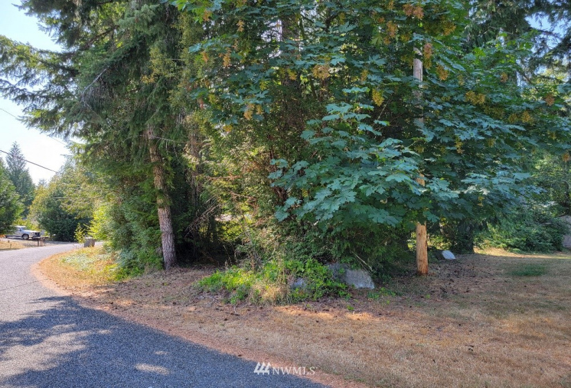 51 Budd, Shelton, Washington 98584, ,Land,For Sale,Budd,NWM1873731
