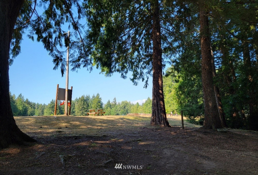 51 Budd, Shelton, Washington 98584, ,Land,For Sale,Budd,NWM1873731
