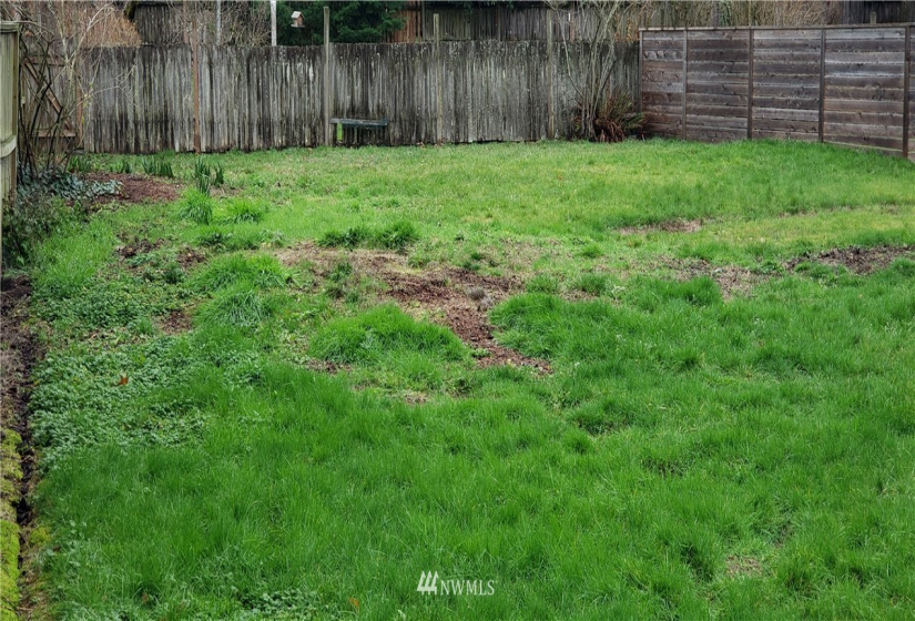 813 115th, Seattle, Washington 98133, ,Land,For Sale,115th,NWM1873867