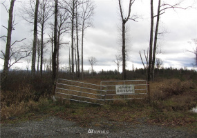 0 XXX Hobson, Burlington, Washington 98232, ,Land,For Sale,Hobson,NWM1873599