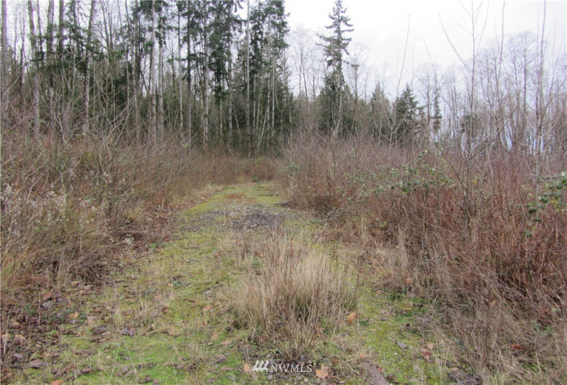 0 XXX Hobson, Burlington, Washington 98232, ,Land,For Sale,Hobson,NWM1873599