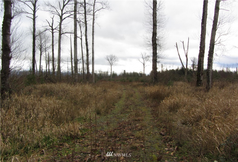 0 XXX Hobson, Burlington, Washington 98232, ,Land,For Sale,Hobson,NWM1873599