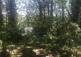 142 xx 59th, Tukwila, Washington 98168, ,Land,For Sale,xx 59th,NWM1874035