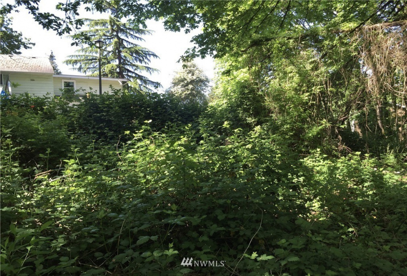 142 xx 59th, Tukwila, Washington 98168, ,Land,For Sale,xx 59th,NWM1874035