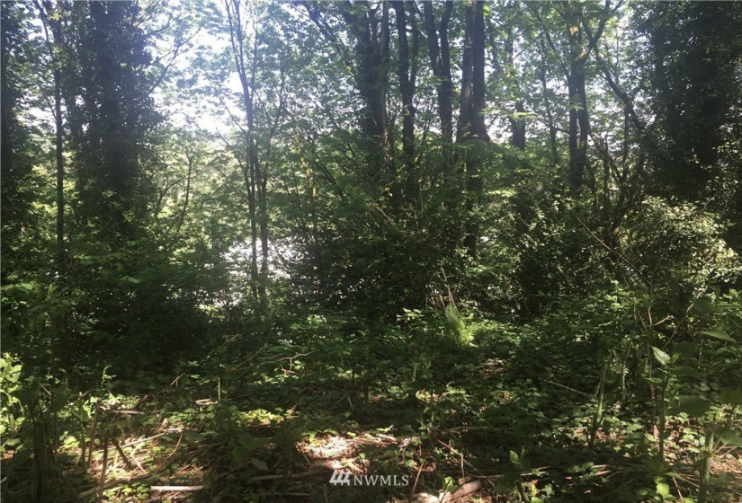 142 xx 59th, Tukwila, Washington 98168, ,Land,For Sale,xx 59th,NWM1874034