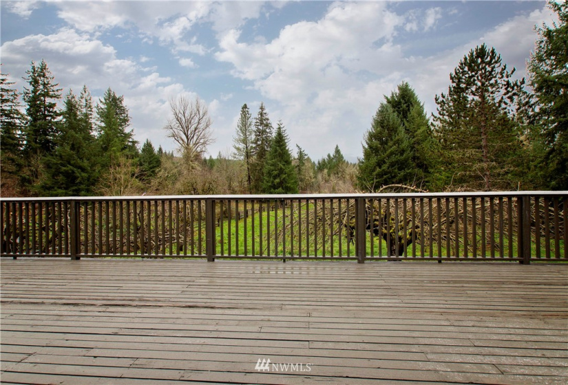 19534 Johnson, Yelm, Washington 98597, 4 Bedrooms Bedrooms, ,2 BathroomsBathrooms,Residential,For Sale,Johnson,NWM1865319
