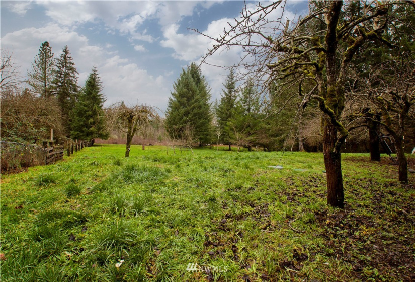 19534 Johnson, Yelm, Washington 98597, 4 Bedrooms Bedrooms, ,2 BathroomsBathrooms,Residential,For Sale,Johnson,NWM1865319