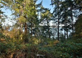 4881 & 4887 Fustu, Greenbank, Washington 98253, ,Land,For Sale,Fustu,NWM1872636