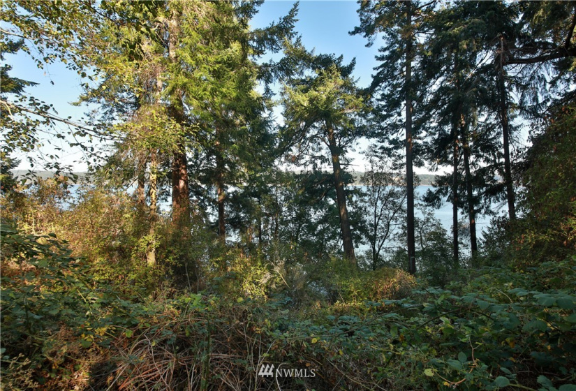 4881 & 4887 Fustu, Greenbank, Washington 98253, ,Land,For Sale,Fustu,NWM1872636