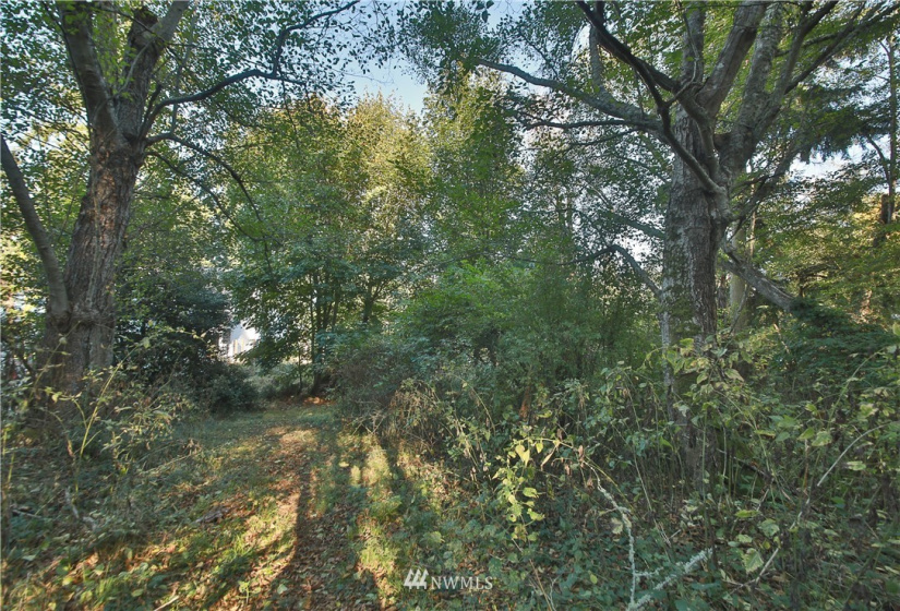 4881 & 4887 Fustu, Greenbank, Washington 98253, ,Land,For Sale,Fustu,NWM1872636