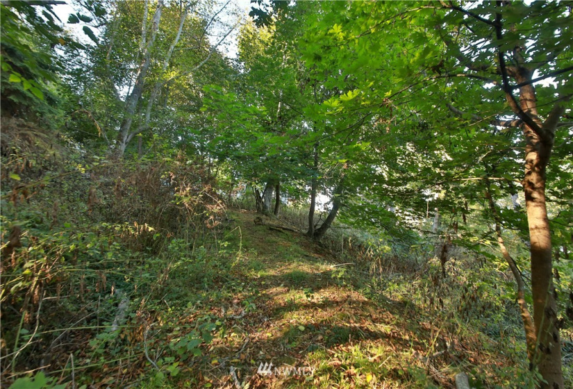 4881 & 4887 Fustu, Greenbank, Washington 98253, ,Land,For Sale,Fustu,NWM1872636