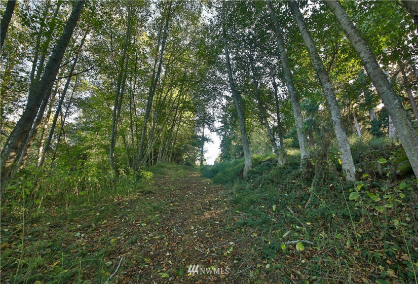 4881 & 4887 Fustu, Greenbank, Washington 98253, ,Land,For Sale,Fustu,NWM1872636