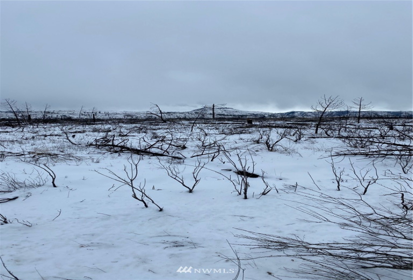 0 Teel Hill, Davenport, Washington 99122, ,Land,For Sale,Thad Faeth Survey,Teel Hill,NWM1874115