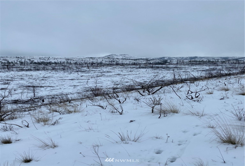 0 Teel Hill, Davenport, Washington 99122, ,Land,For Sale,Thad Faeth Survey,Teel Hill,NWM1874115