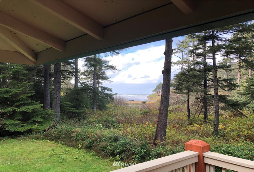 3 Alderwood, Copalis Beach, Washington 98535, 3 Bedrooms Bedrooms, ,1 BathroomBathrooms,Residential,For Sale,Alderwood,NWM1873431
