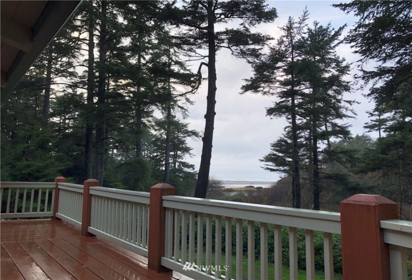 3 Alderwood, Copalis Beach, Washington 98535, 3 Bedrooms Bedrooms, ,1 BathroomBathrooms,Residential,For Sale,Alderwood,NWM1873431