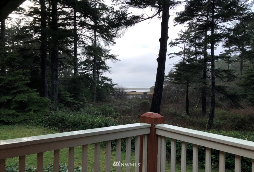 3 Alderwood, Copalis Beach, Washington 98535, 3 Bedrooms Bedrooms, ,1 BathroomBathrooms,Residential,For Sale,Alderwood,NWM1873431