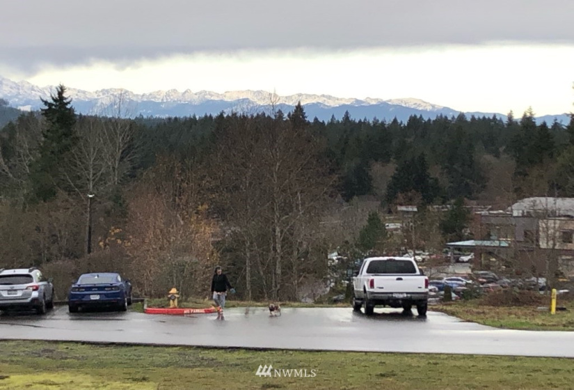 1870 Pottery, Port Orchard, Washington 98366, ,Land,For Sale,Pottery,NWM1873743