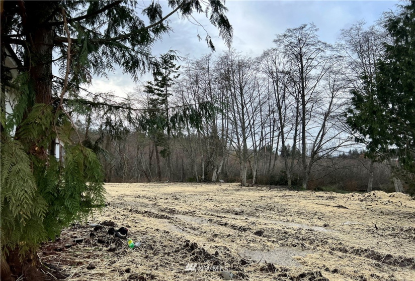 11347 O, Anacortes, Washington 98221, ,Land,For Sale,O,NWM1874100