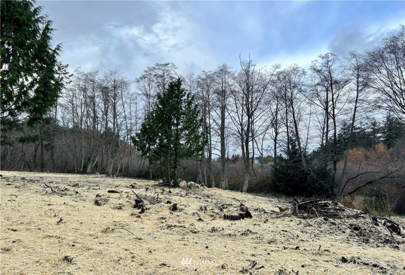 11347 O, Anacortes, Washington 98221, ,Land,For Sale,O,NWM1874100