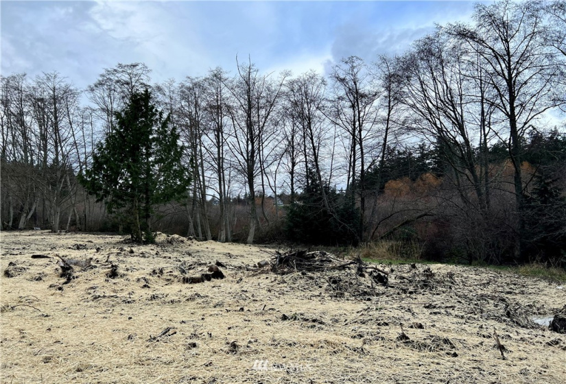 11347 O, Anacortes, Washington 98221, ,Land,For Sale,O,NWM1874100