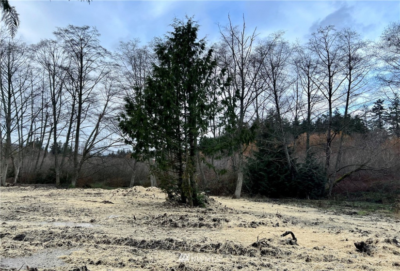 11347 O, Anacortes, Washington 98221, ,Land,For Sale,O,NWM1874100