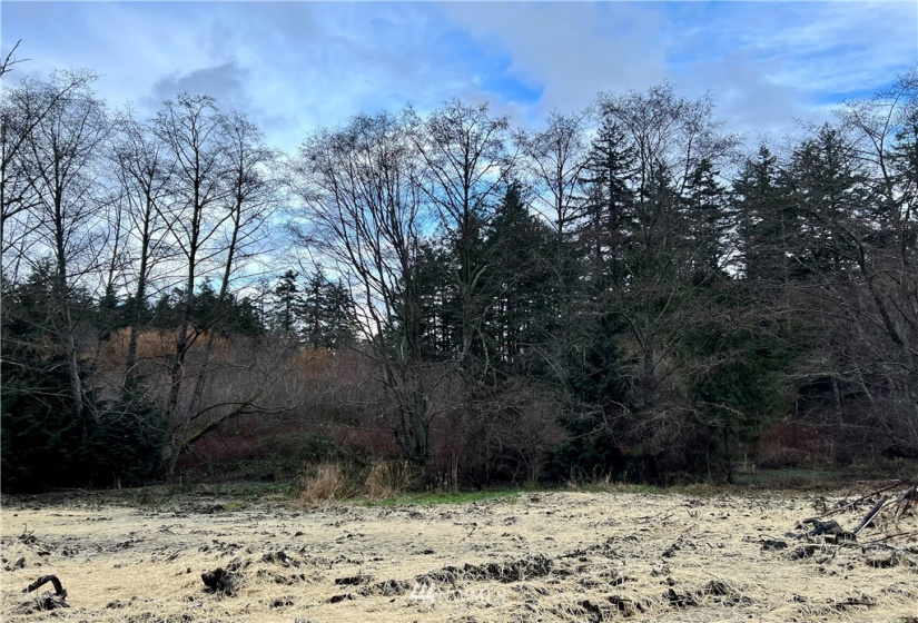 11347 O, Anacortes, Washington 98221, ,Land,For Sale,O,NWM1874100