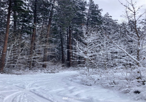 0 Washington, Cle Elum, Washington 98922, ,Land,For Sale,Washington,NWM1874219