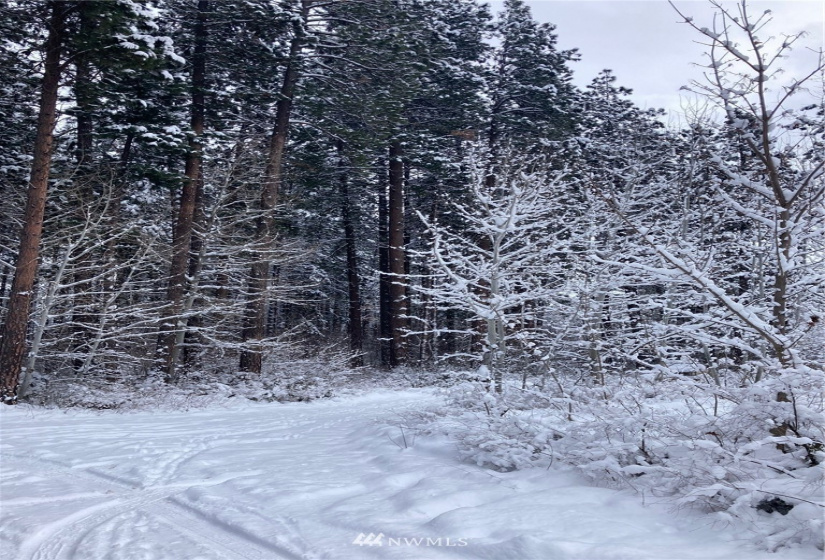 0 Washington, Cle Elum, Washington 98922, ,Land,For Sale,Washington,NWM1874219