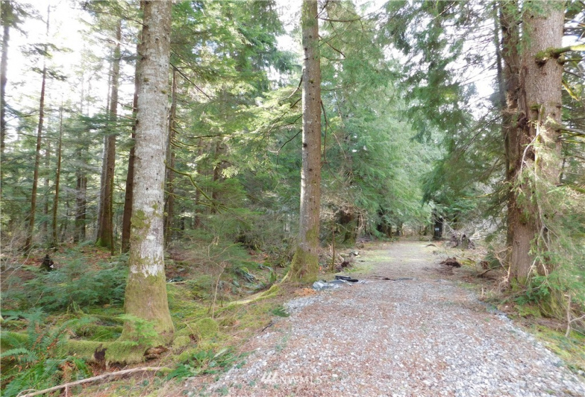 15528 May Creek, Gold Bar, Washington 98251, ,Land,For Sale,SP PFN 19-100722,May Creek,NWM1874243